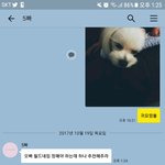 [댓글부탁해] 얘들아 20살 남자 예명하나만 던져주라