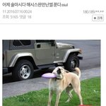[댓글부탁해] 버스기사아저씨가 <b>하차</b>찍고 내려달라는데