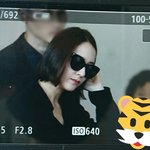 방금 크리스탈 공항 프리뷰