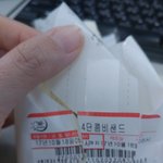샌드위치에 곰팡이가..