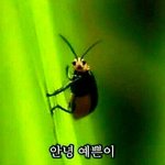 [윤지성] 안녕!타팬인데