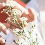 오늘 데뷔티져 뜬 프듀출신 연습생들.<b>jpg</b>