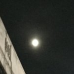 [댓글부탁해] 학교에입을 <b>무난</b>한후드티 추천좀해주라!