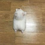 [ㄹㅇㅍㅌ] 판 하면서 여자애들 못 믿게 됨