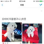 [EXO] 애들아 ㅂiㅂi <b>미용</b>했다!