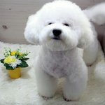 [EXO] 오비비 개귀엽네