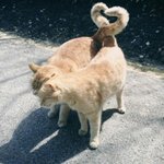 영화 추천 좀 해 종!!!!!!!!!
