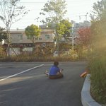 [댓글부탁해] 고양이가 꿰뚫려서 죽은 것 같은데 옆에 아저씨가 지켜봐요