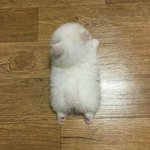 [댓글부탁해] +)추가ㅋ 야 우리반 여드름개많이난남자애있거든?