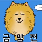 [드루와] 미친;; 우리학교<b>컬링</b>부