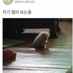 [댓글부탁해] 나 화장고자인데 ㅍㅠㅠㅠㅠ