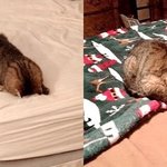 [조언부탁] 애들아 너네 <b>어색</b>함푸는 팁같은거 있어?