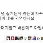 너희가 알고있는 잡지식 쓰고가셈