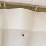 야 제발 부탁인데 이것좀봐<b>주</b><b>셈</b> ㅠㅠㅠ