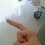 <b>늦잠</b> 자지 말고 일어나 이쉐키들아!