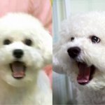 [EXO] 비비 진짜 <b>예나</b>지금이나