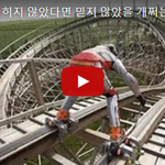 [아트저장소] 카메라에 찍히지 않았다면 믿지 않았을 개쩌는 순간들