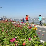 잠실 한강공원, 하늘문화 세계 평화 광복 국민 마라톤 축제에 다녀왔어요