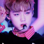 [박지훈] 아기늑대