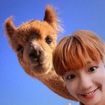 [임영민] <b>방토</b>들 응원법 다외웠어?