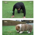 [드루와] +추가)야 진짜 한 달 후에 댓글 달아줄게