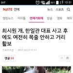 <b>살인</b>개 오늘 근황ㅋㅋ
