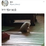 [EXO] 아 <b>졸라</b>귀여워