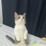 [댓글부탁해] 얘들아 우리 <b>외적</b>인콤플렉스 다들말해보자