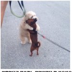 [댓글부탁해] 무서운 꿈꾼거 공유하자