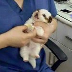 [<b>흑역사</b>] 나 남자애찰때 개소리함...