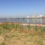 21일 잠실 한강공원에서 평화 마라톤 대회를!!