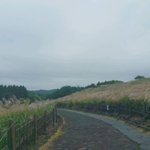 [댓글부탁해] 나 궁금한게 있는데 2017 <b>mama</b>