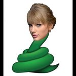 [댓글부탁해] 니네 테일러 신곡 또나온거봤냐