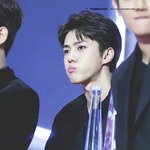 <b>내</b> 각그룹 최애들 특징이 뭐야? (사진 ㅇ)