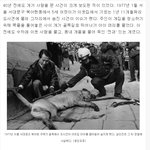 [콜로라도] 40여년전 사람 물어죽인 개의 <b>처벌</b>.jpg