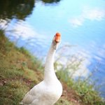 -남자심리 팩폭으로 정리해드림-