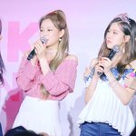 [블랙핑크] 이때 짤 있는<b>사라</b>뮤ㅠㅠ