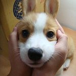 자공고랑그냥<b>인문</b>계랑