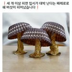 [드루와] 난 짝<b>남</b>이랑 절대 안이뤄짐ㅋㅋㅋㅋ