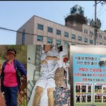 [도와주세요] 의료사고!!!도와주세요!!!<b>절박</b>합니다