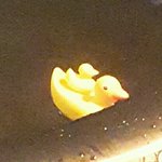 (도와주세요)10월21일 토요일 덕산 리솜스파<b>캐슬</b> 남자탈의실에서 11시~12시...