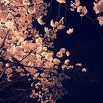 <b>위로</b>받고싶다