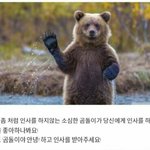 [약19] 축제 때 야한 옷 입고 춤추는 거 왜 하는거야?