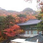 <b>단풍</b>놀이 필수아이템, 가을등산화