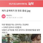 [꼭봐주세요] 개가 물기 전 <b>전조</b> 증상 (사진있음)