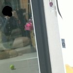 사진ㅇ)많이뚱뚱한편인가요