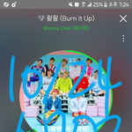 [워너원] 우리 너부리들 오늘