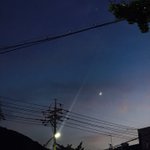 [드루와] 그 최시원 개 사건 있잖아