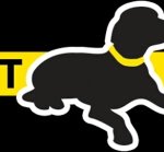 [강아지] 노란색 <b>리본</b>을 한 강아지를 본다면 배려해주세요