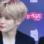 [NCT] 타팬인데 사진